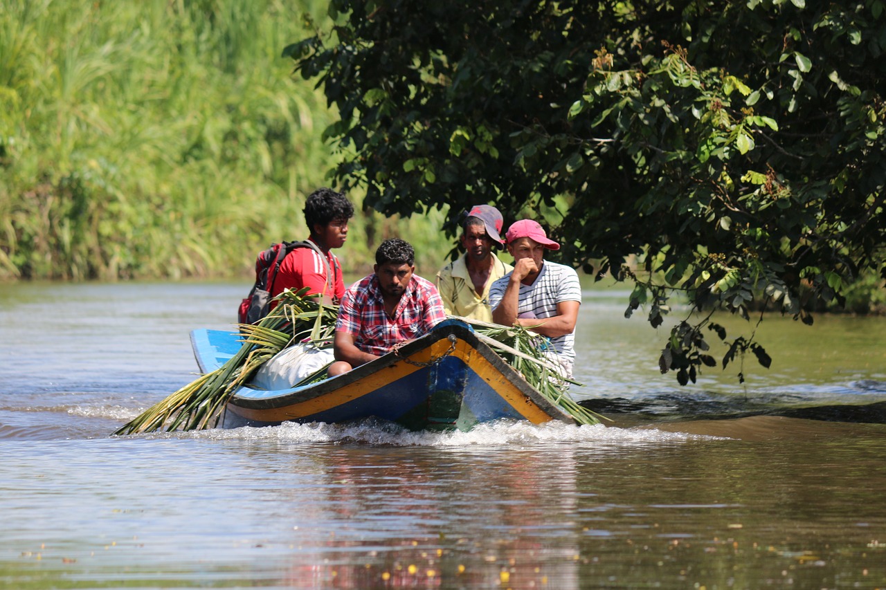 Read more about the article GUYANA REPORT